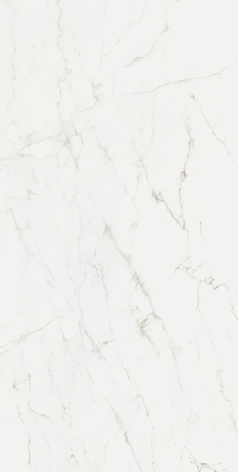 Calacatta Glory — surface detail