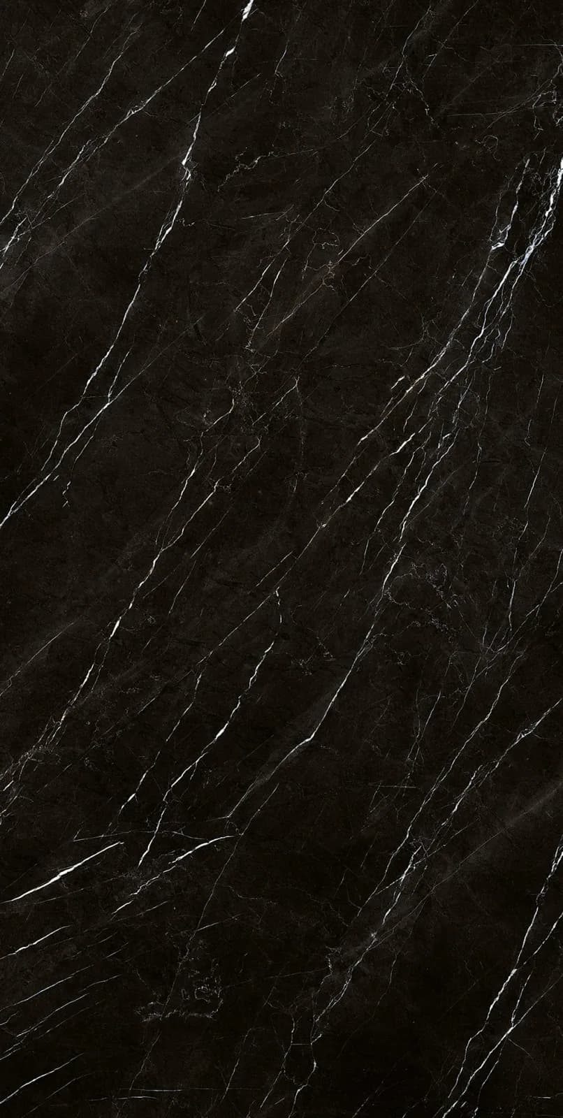Nero Marquinia — surface detail