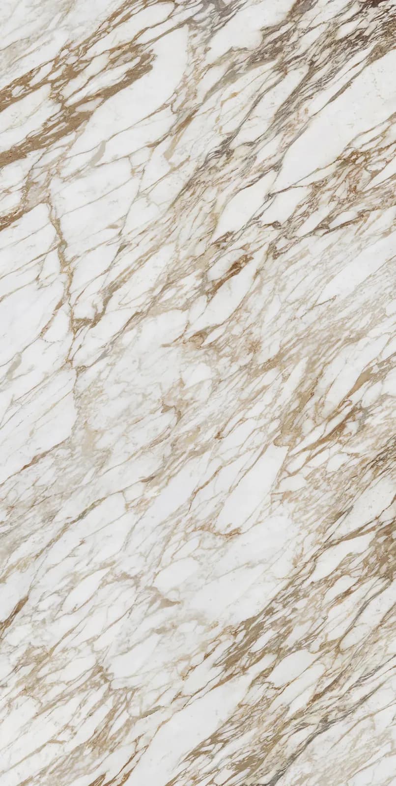 Arabescato Diva — surface detail