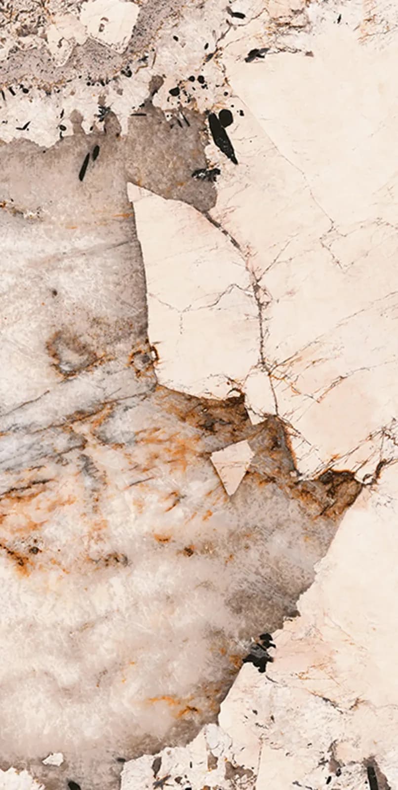 Magellano — surface detail